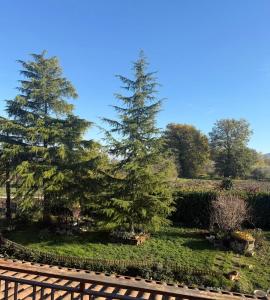 twee bomen in een tuin naast een hek bij Villa Forgione in Grottaminarda