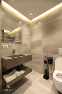 a bathroom with a sink and a toilet at Resort Anes Drinit in Peje