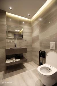 a bathroom with a toilet and a sink and a mirror at Resort Anes Drinit in Peje