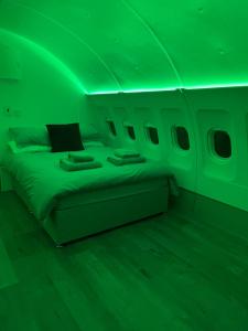 Una habitación verde con una cama en un avión. en AeroHeaven Glamping, en Cavan 13 fotos más