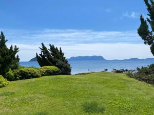 ISA - Luxury apartment Elicriso sea view with common swimming pool just 100 mt from the beach في غولفو أرانتْشي: ميدان عشبي مطل على المحيط