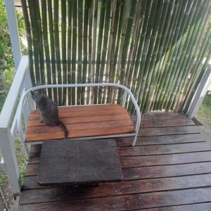 Φωτογραφία από το άλμπουμ του Cabañas eltata σε Tigre