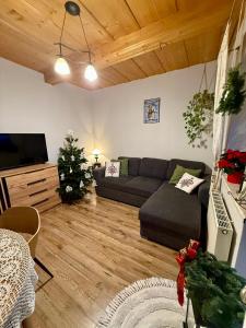 un soggiorno con divano e albero di Natale di Agroturystyka Pod Modrzewiem a Zubrzyca Górna