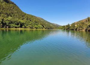 Naturlandskabet i nærheden af lejligheden
