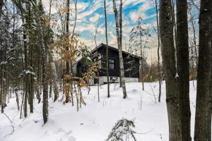 a cabin in the woods in the snow at Le 4 sur le lac, Accès au lac, Boisée, BBQ in Wentworth