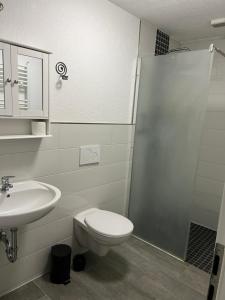 a bathroom with a shower and a toilet and a sink at 1 Zimmer Häuschen in Itzehoe +8 photos