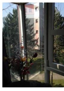 En have udenfor Appartement au centre de Fribourg, 3 chambres