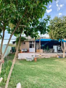 En have udenfor Glorisa