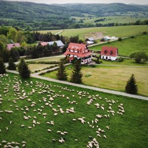Φυσικό τοπίο κοντά σε αυτό το διαμέρισμα