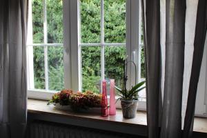 Bismarck Hostel Öhringen外面的花园