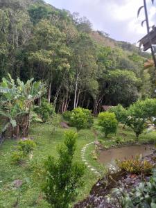 un giardino con sentiero in pietra nell'erba di Sitio Daniela a São João Batista