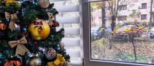 a christmas tree in front of a window at Magic Craiova Stay in Craiova