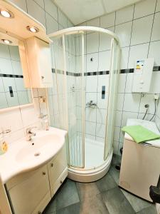 a bathroom with a shower and a sink at Mother Teresa Apartments in Skopje