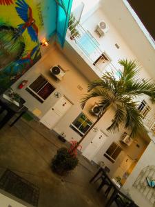 an overhead view of a living room with a palm tree at Mi Quinta Raíz Loft Apartments in Iquitos