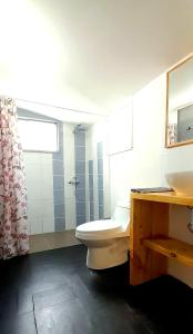 迈滕西约Cabaña El Hibisco的浴室里有马桶、洗手池和淋浴。 更多19张照片