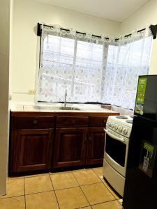 Η κουζίνα ή μικρή κουζίνα στο Alto Cruz Executive Loft