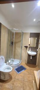Centrally located cozy apartment في كراكوف: حمام مع دش ومرحاض ومغسلة +12 صورة
