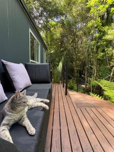 a cat laying on a couch on a deck at Tui Bush Chalet and Hot tub in Parakakau