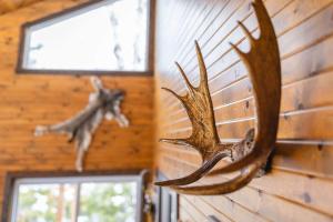 Άλλα ζώα σε αυτό το σαλέ ή στη γύρω περιοχή