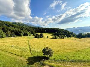 un campo verde con un albero al centro di Evasion Douce Désign a Prénatier