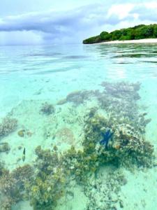 Φωτογραφία από το άλμπουμ του Vanua Eco-Ventures στο Νάντι