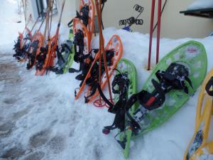 拜尔里舍艾森施泰恩Am Waldrand的一组滑雪板和滑雪板在雪中排列