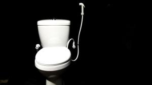 Un inodoro blanco en una habitación negra con una manguera. en Golden Nature Cottage, en Udawalawe 6 fotos más