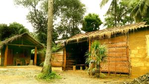 una casa con una palmera delante en Golden Nature Cottage, en Udawalawe
