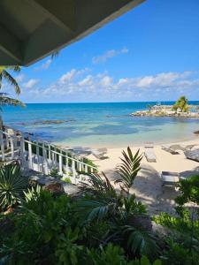 Φυσικό τοπίο κοντά σε αυτό το ξενοδοχείο