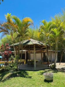 瓜拉廷格塔Chácara charmosa com piscina, campo de futebol的庭院中一个带桌子和棕榈树的亭子 更多32张照片