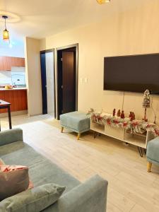 Un televizor și/sau centru de divertisment la Luminosa ste con Parking & WiFi