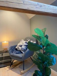 sala de estar con silla y planta en Art Nouveau in the middle of downtown Ålesund, en Ålesund