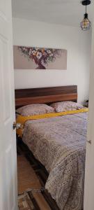 Φωτογραφία από το άλμπουμ του Cabañas Amancay σε Vicuna +27 φωτογραφίες