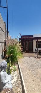 Φωτογραφία από το άλμπουμ του Cabañas Amancay σε Vicuna