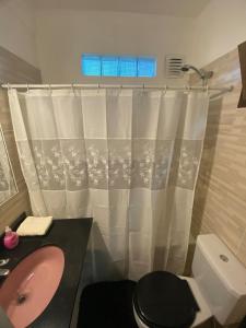 a bathroom with a sink and a toilet and a shower curtain at Garden! in Villa Ballester