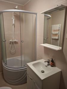 un bagno con doccia e lavandino di Popas La Vintu 