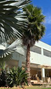 a palm tree in front of a building at Pousada Cipó in Serra do Cipo