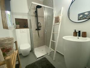 a bathroom with a shower and a toilet and a sink at L'isménia, Le Loft in Le Gosier