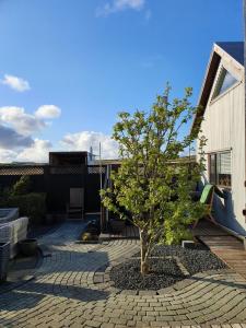 ein Baum auf einer Terrasse neben einem Haus in der Unterkunft Bergvegur 7- Heimagisting-Homestay-private house 2 dogs in the house-NO KITCHEN INCLUDED- STAIRS in Keflavík