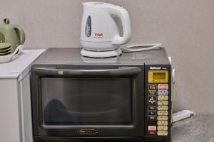 富士河口湖フルハウス的微波炉上的一个砂浆和虫害