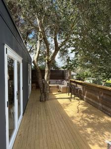 a wooden deck with a tree on the side of a house at Whangapoua retreat in Whangapoua