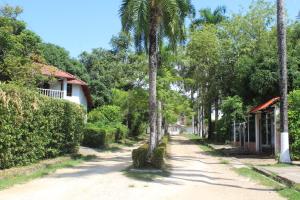 a street with palm trees and a house at Casa moderna con piscina privada, Jacuzzi, Melgar Tolima in Melgar