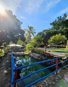 YaguaráEscapada en Domo con Paisajes Increíbles的公园池塘里的一艘蓝色小船