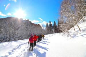 a group of people skiing down a snow covered slope at Naeba Prince Hotel in Yuzawa