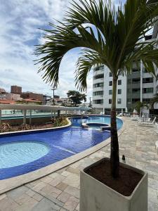 a palm tree in a planter next to a swimming pool at Luxor Tambau 211 by Viva Hospedagens in Tambaú