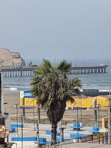 Un paisaje natural cerca del departamento