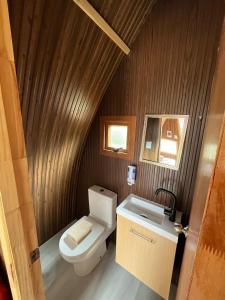 a bathroom with a toilet and a sink at Morrena Lodge in Torres del Paine