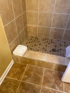 a bathroom with a shower with a tiled floor at Golf Cart to Beach , Pet Friendly, Fenced, Quiet in Fernandina Beach