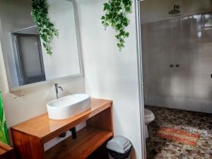 een badkamer met een wastafel en een spiegel en een toilet bij mirador pico de hoz lodge in Pillcopata