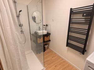 un bagno con doccia, lavandino e specchio di Appartement rénové T2 mezzanine Formiguères, 10 pers, proche commerces - FR-1-758-46 a Formiguères Altre 2 foto